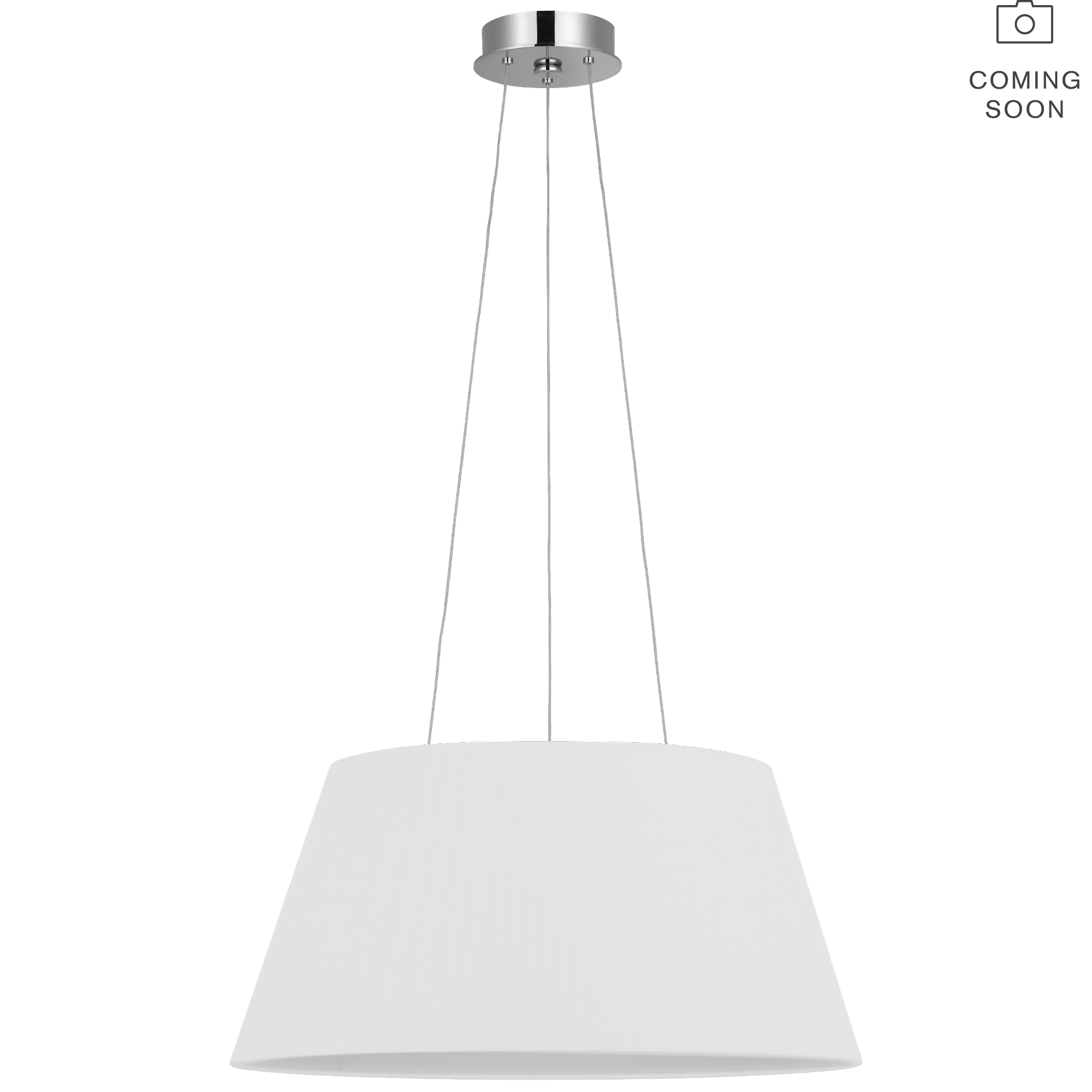 Caufield 21" Hanging Shade