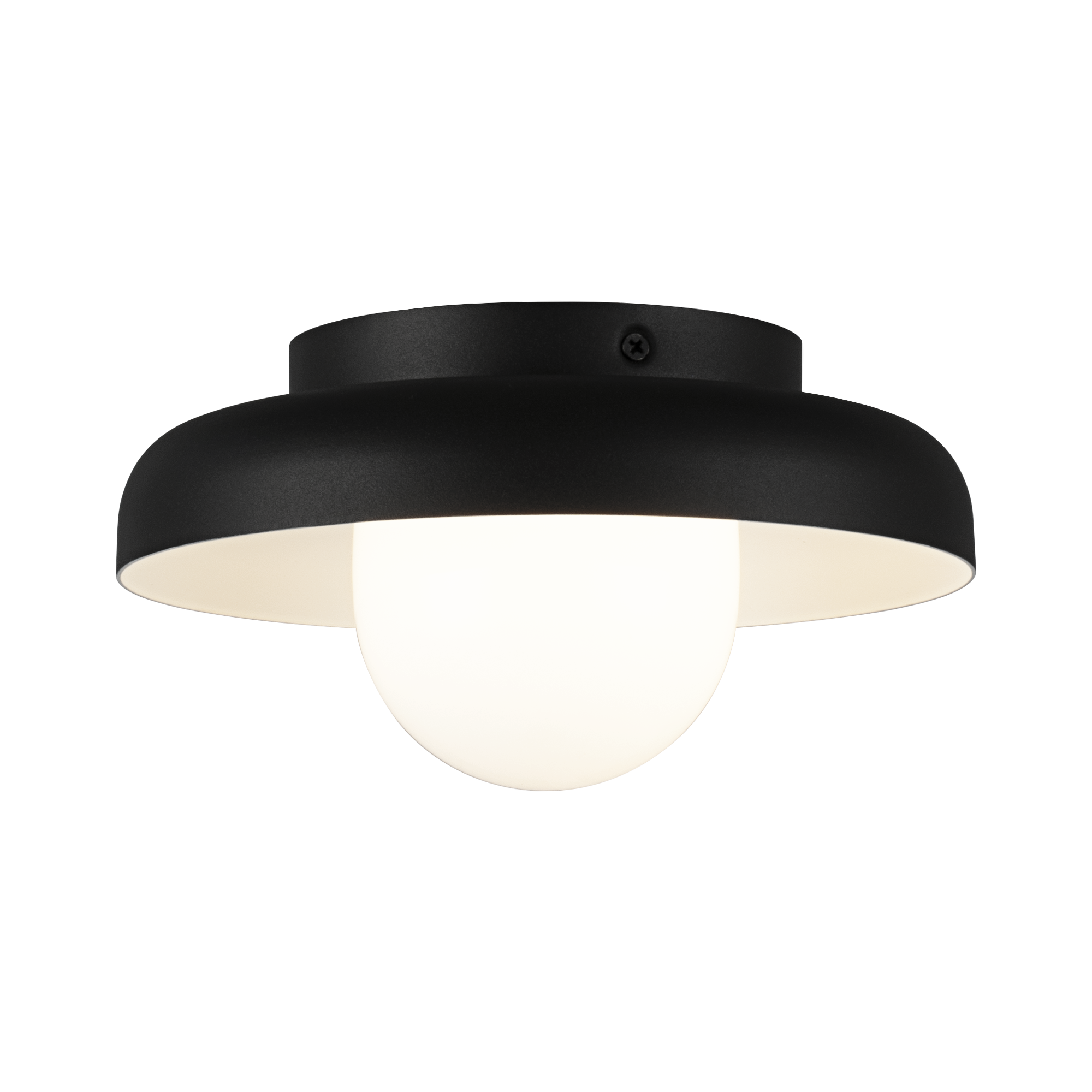 Creston Ceiling Mount