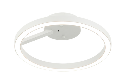 The Trundle Ceiling Mount