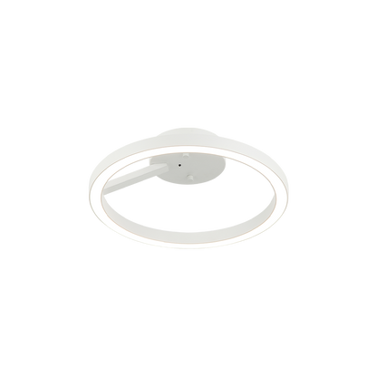 The Trundle Ceiling Mount