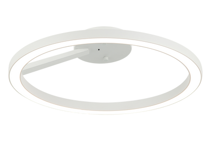The Trundle Ceiling Mount