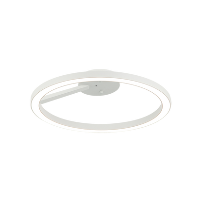 The Trundle Ceiling Mount