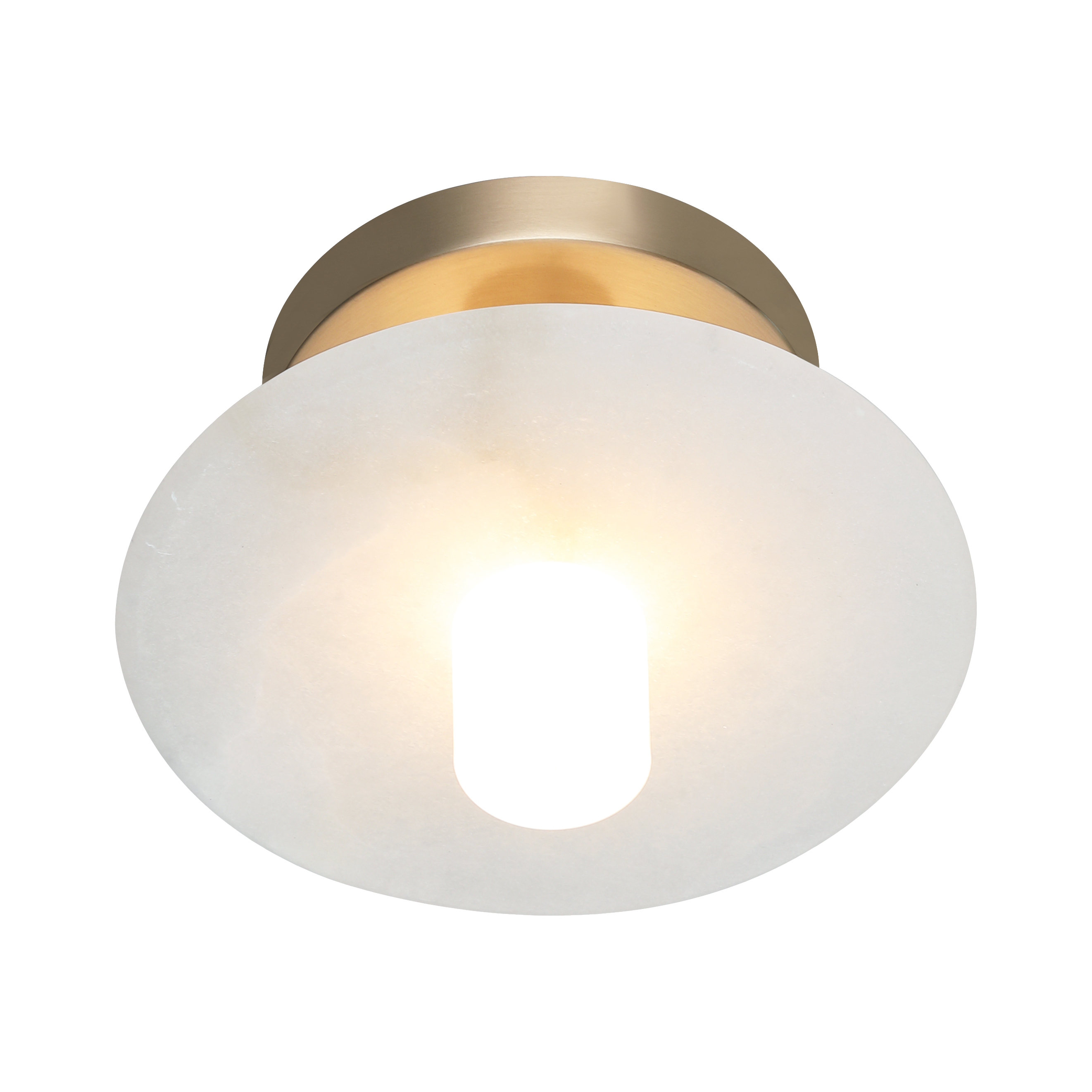 Monument Wall Sconce/Ceiling Mount 1 Light Pendant