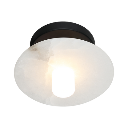 Monument Wall Sconce/Ceiling Mount 1 Light Pendant