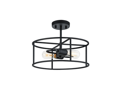 Candid Ceiling Mount 2 Light Pendant