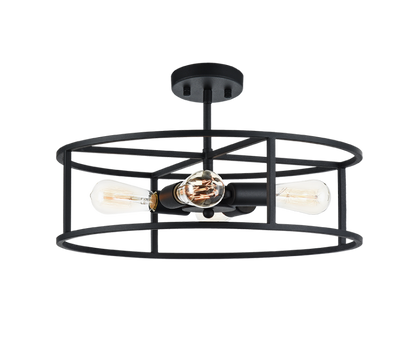 Candid Ceiling Mount