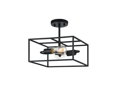 Candid Ceiling Mount 2 Light Pendant