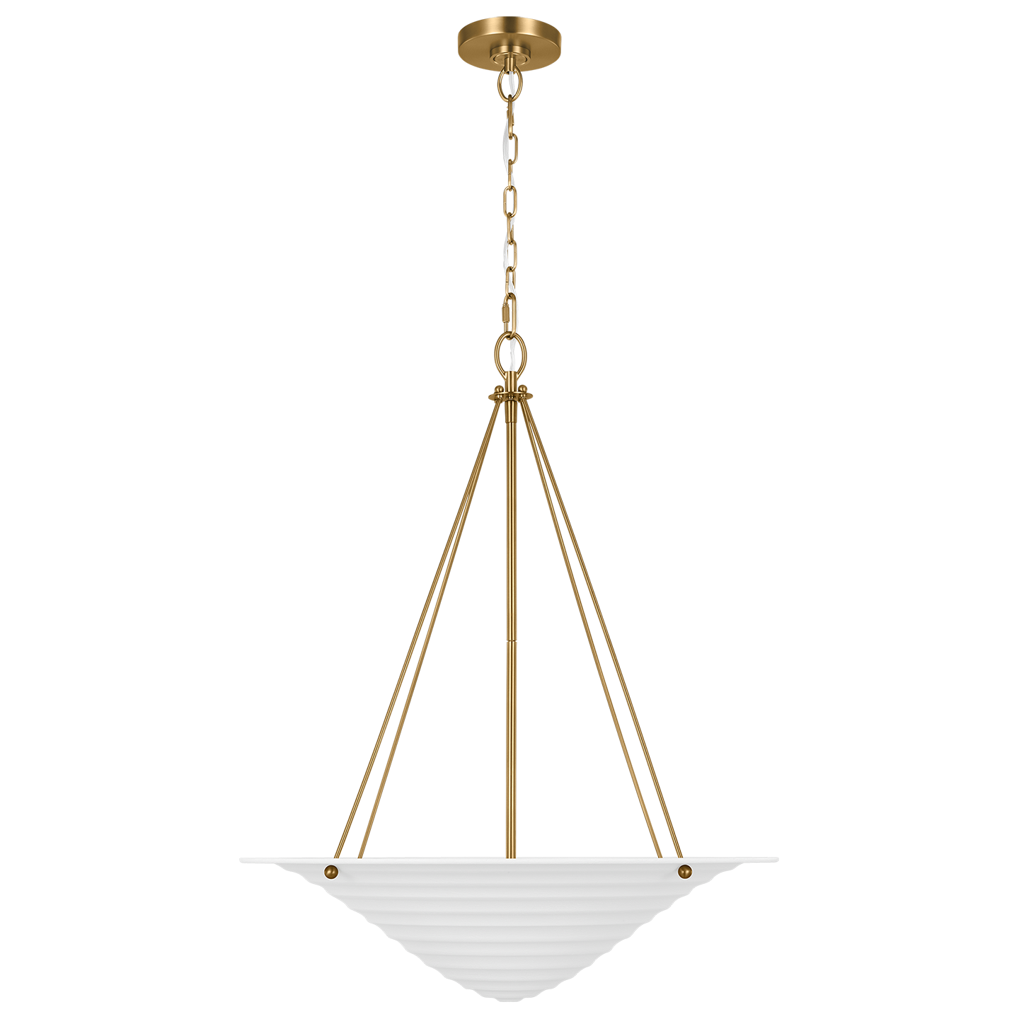 Dosinia Pendant