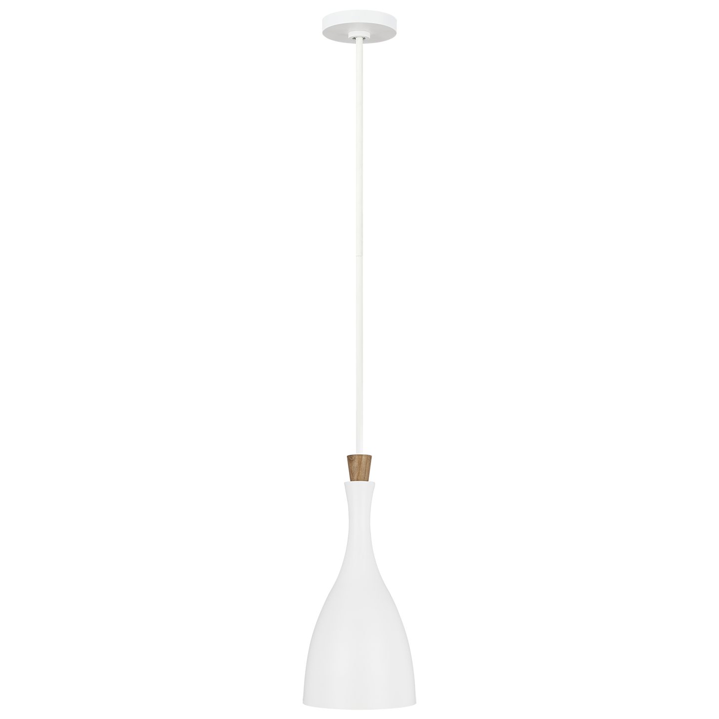Darwin Pendant