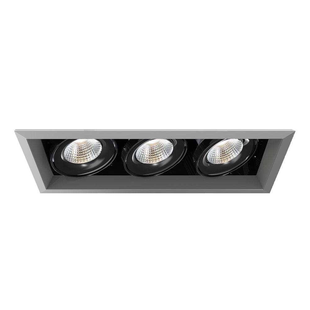 TE133LED Recessed Light