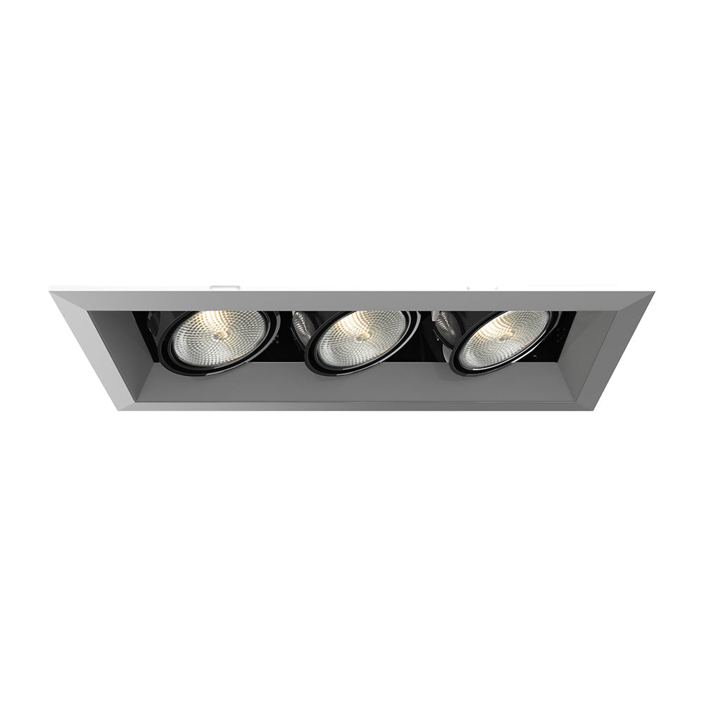 TE163 Recessed Light