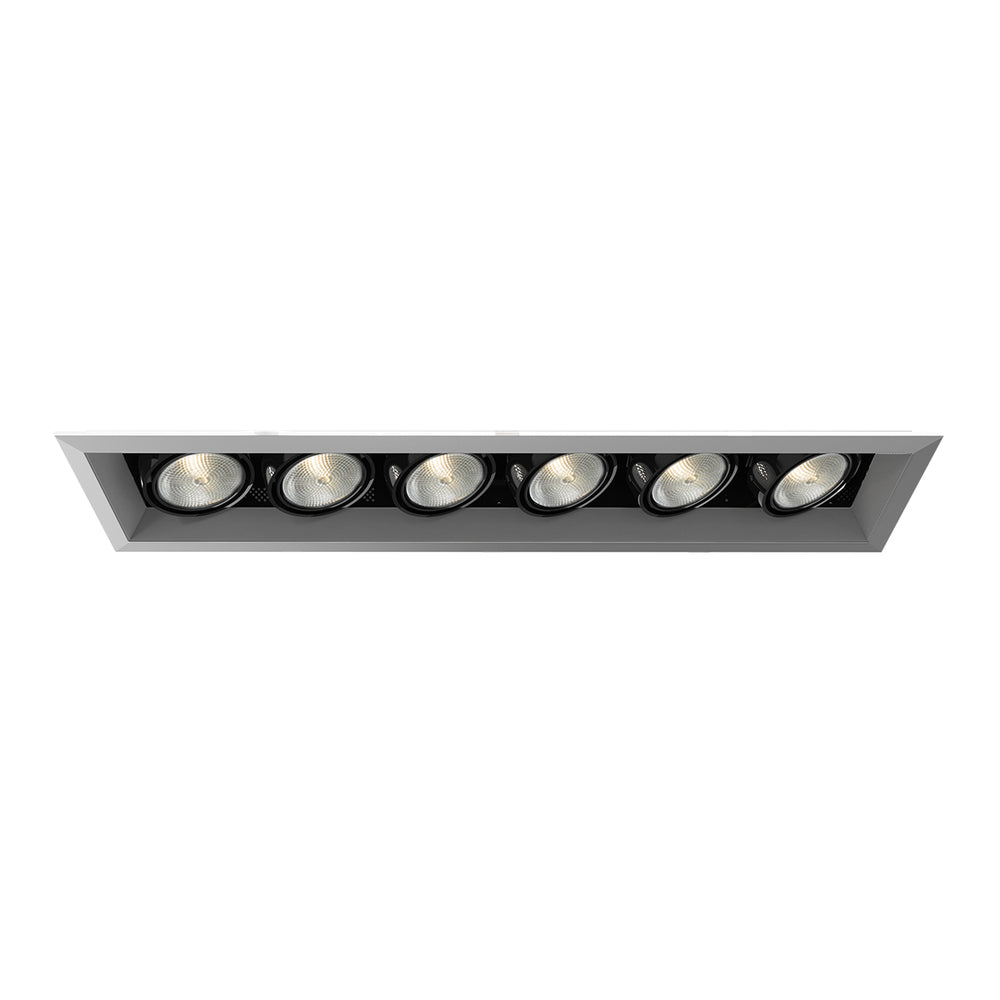 TE166 Recessed Light